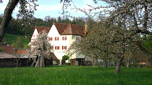 Tullauer Schloss