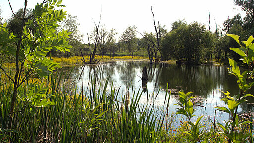 Heidsee